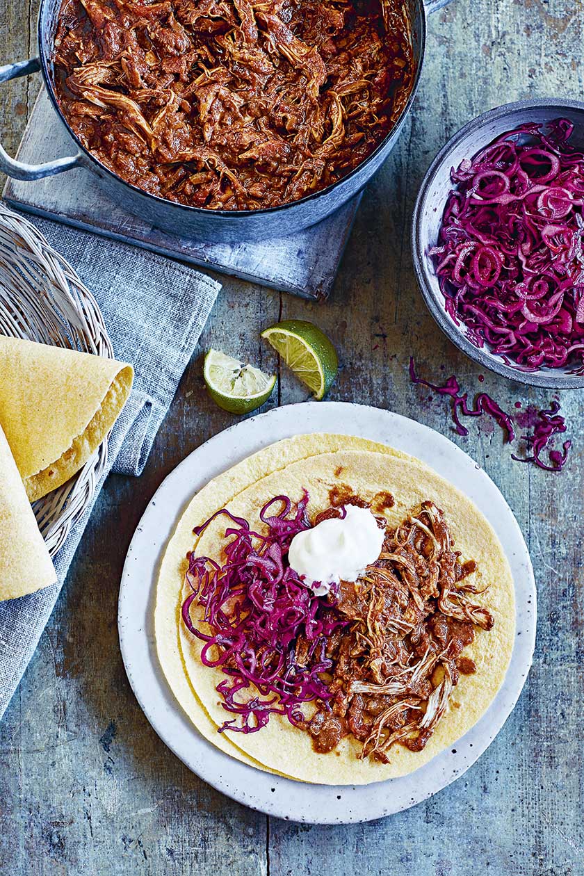 Chicken mole with red cabbage slaw