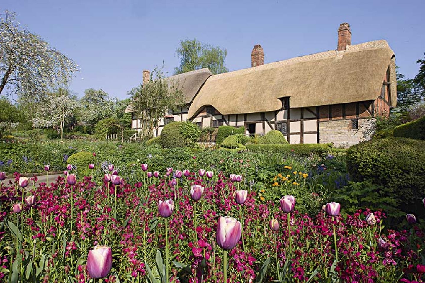 Anne  Hathaways  Cottage  Shottery  Must  Credit  Visit England  Jameskerr Co Uk