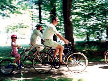Family On  Cycling  Tour 11
