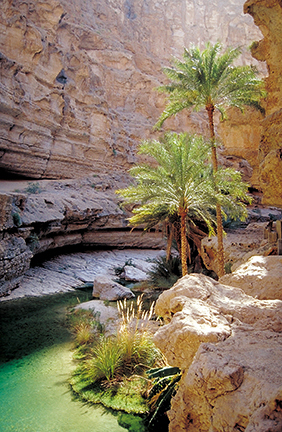 Wadis Wadi Bani Khalid 1