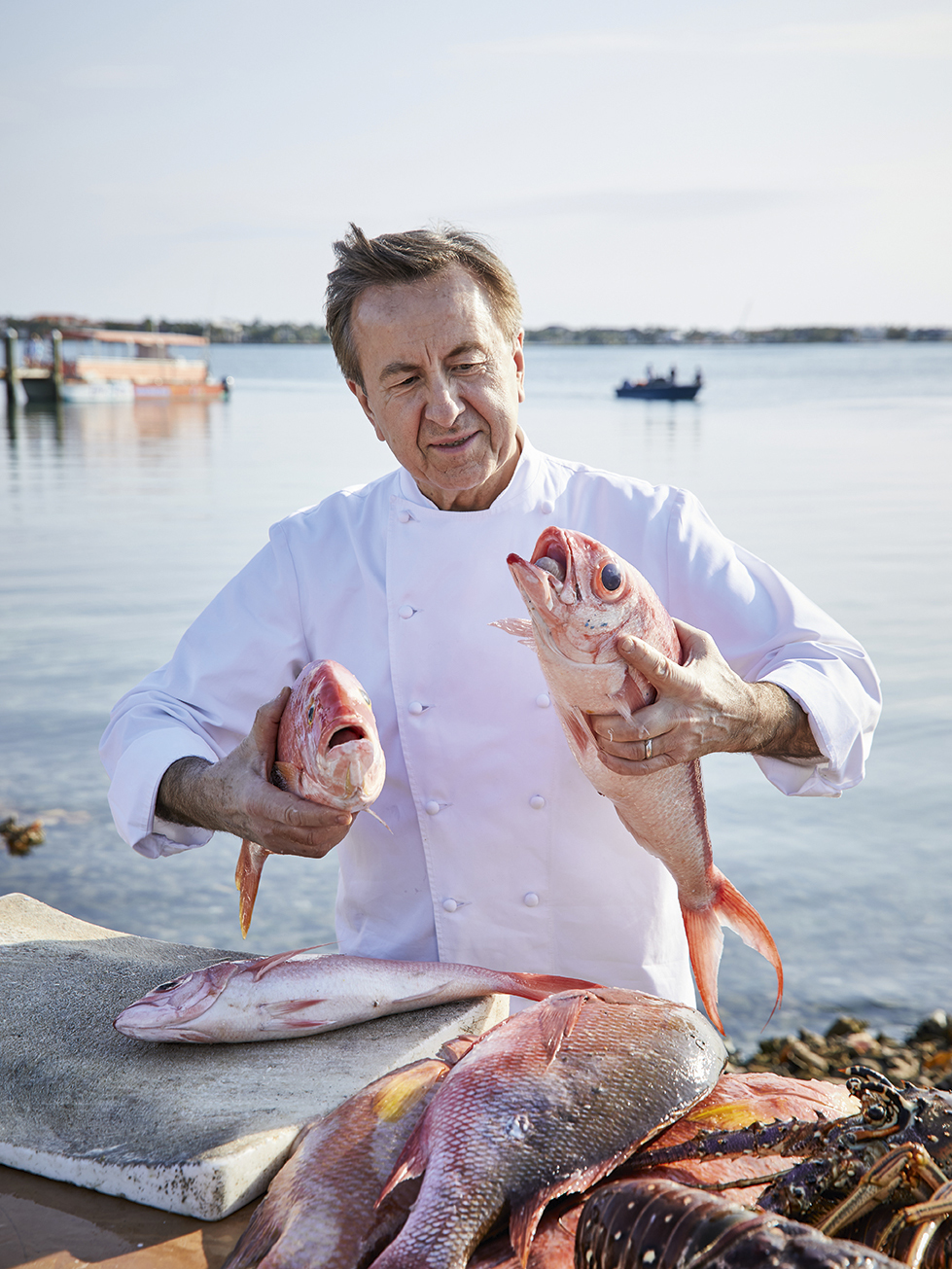 Origins of Daniel Boulud Photo