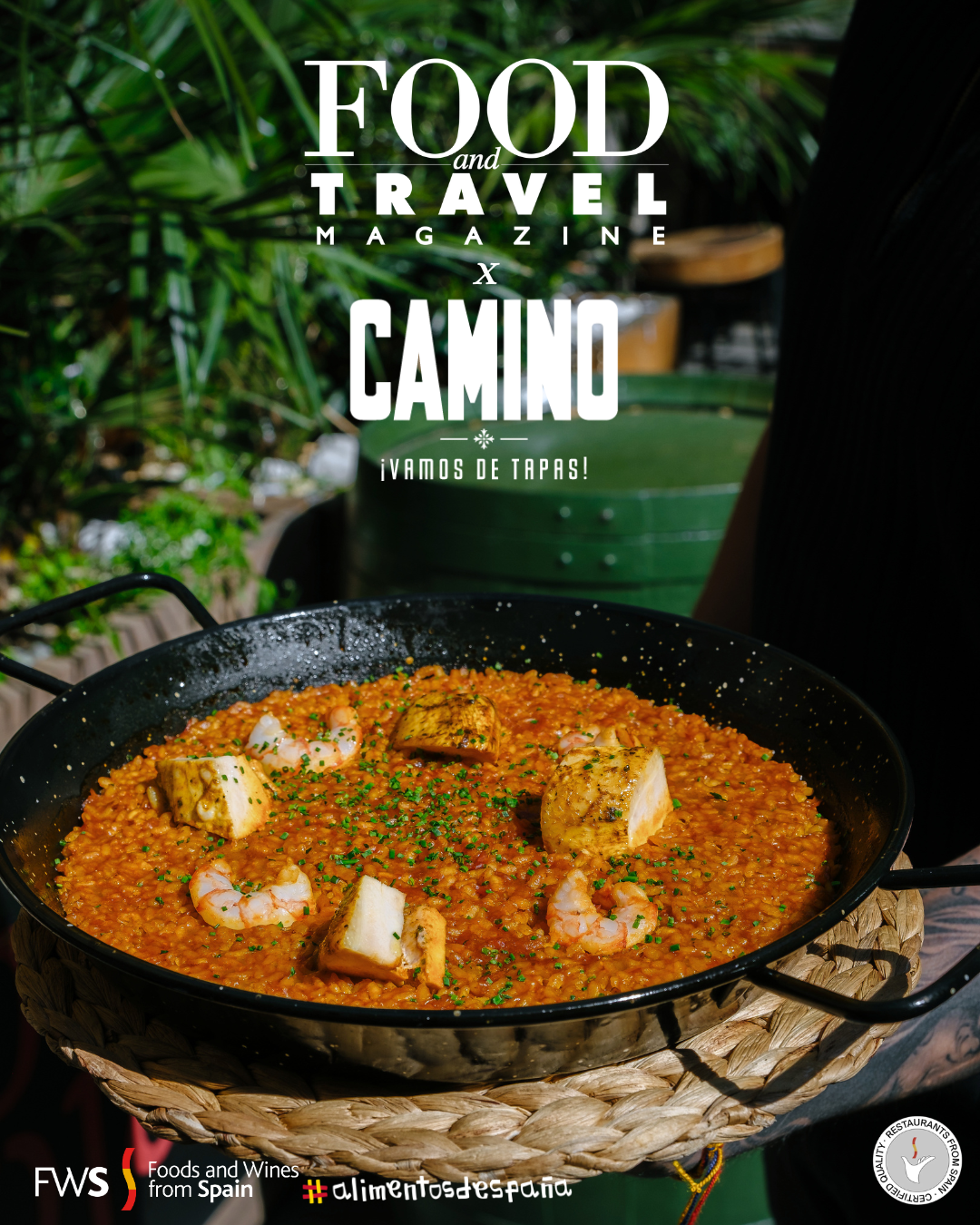 Camino