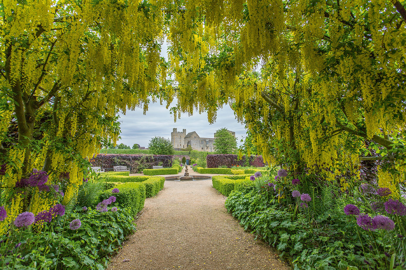 Laburnum And Castleresized