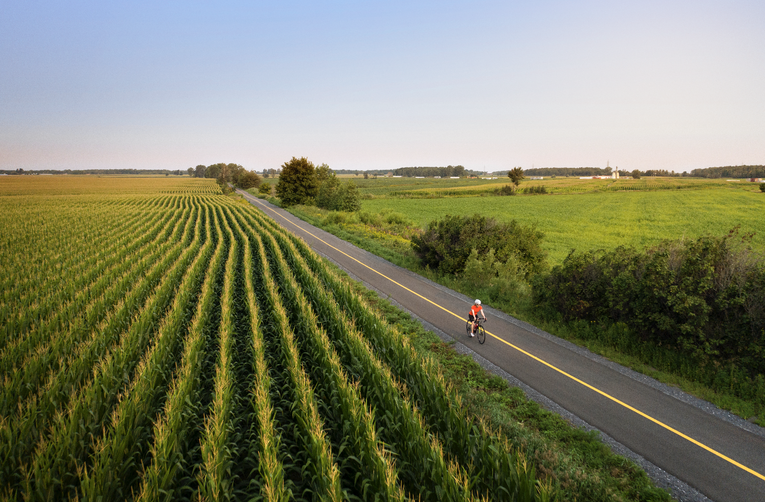 Screenshot 2025 11 13 at 17 09 35