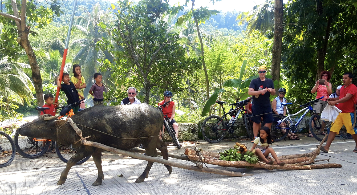 Screenshot 2025 11 13 at 17 14 23