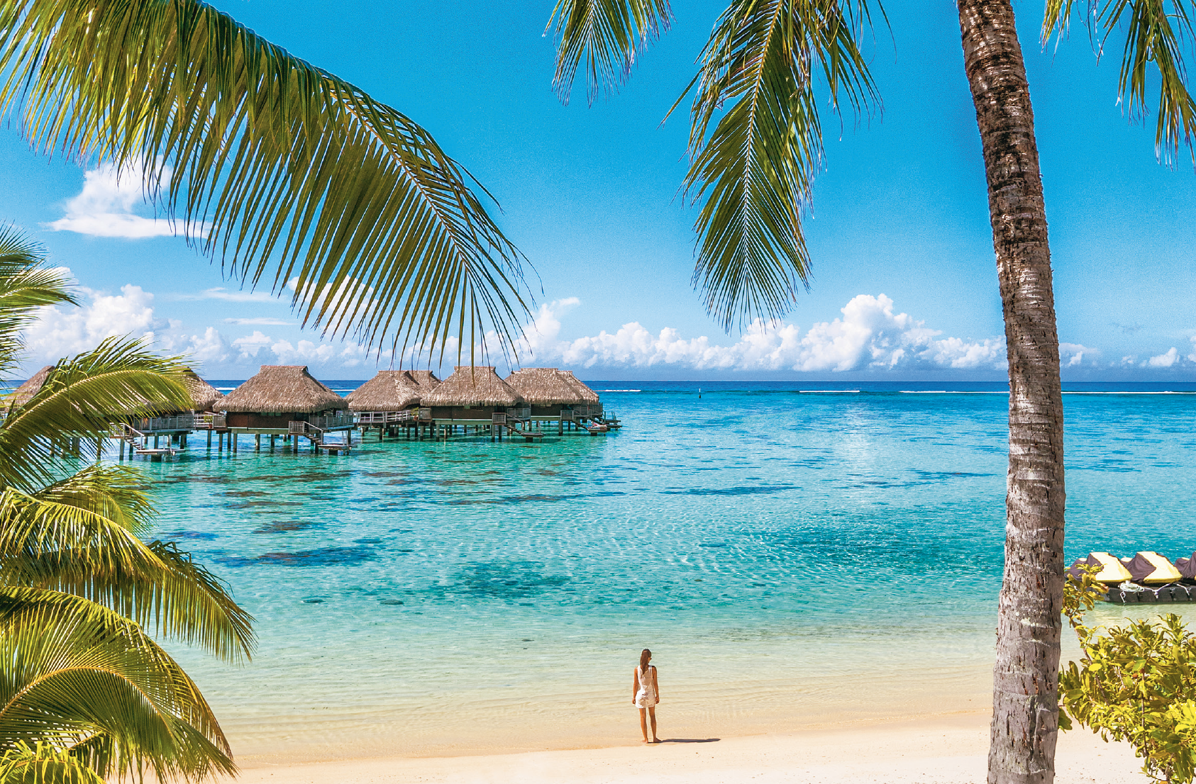 Screenshot 2026 03 11 at 10 18 45