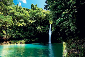 Samoa Waterfall