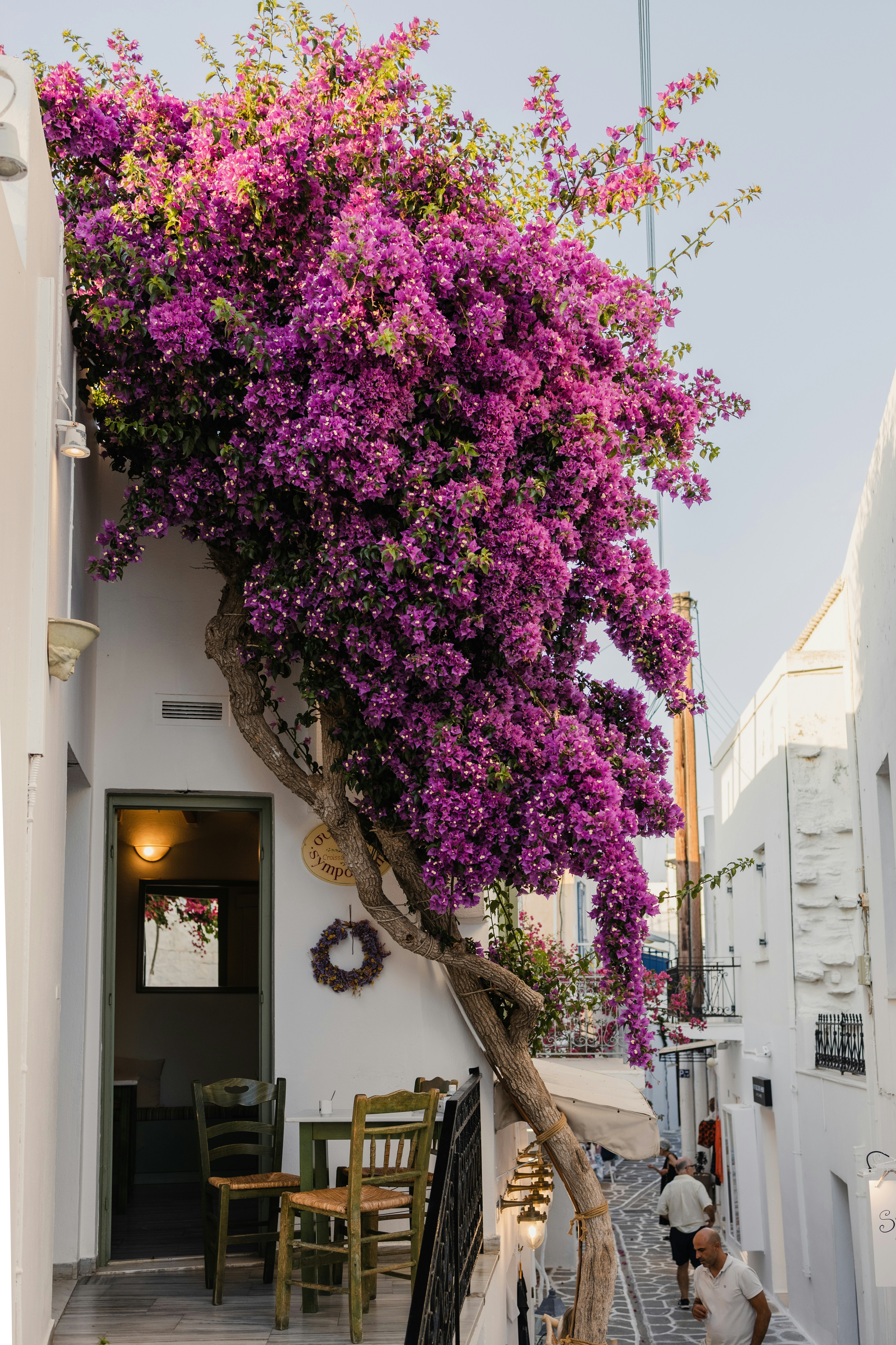 Tobias rademacher vo D Pjl BW11o unsplash