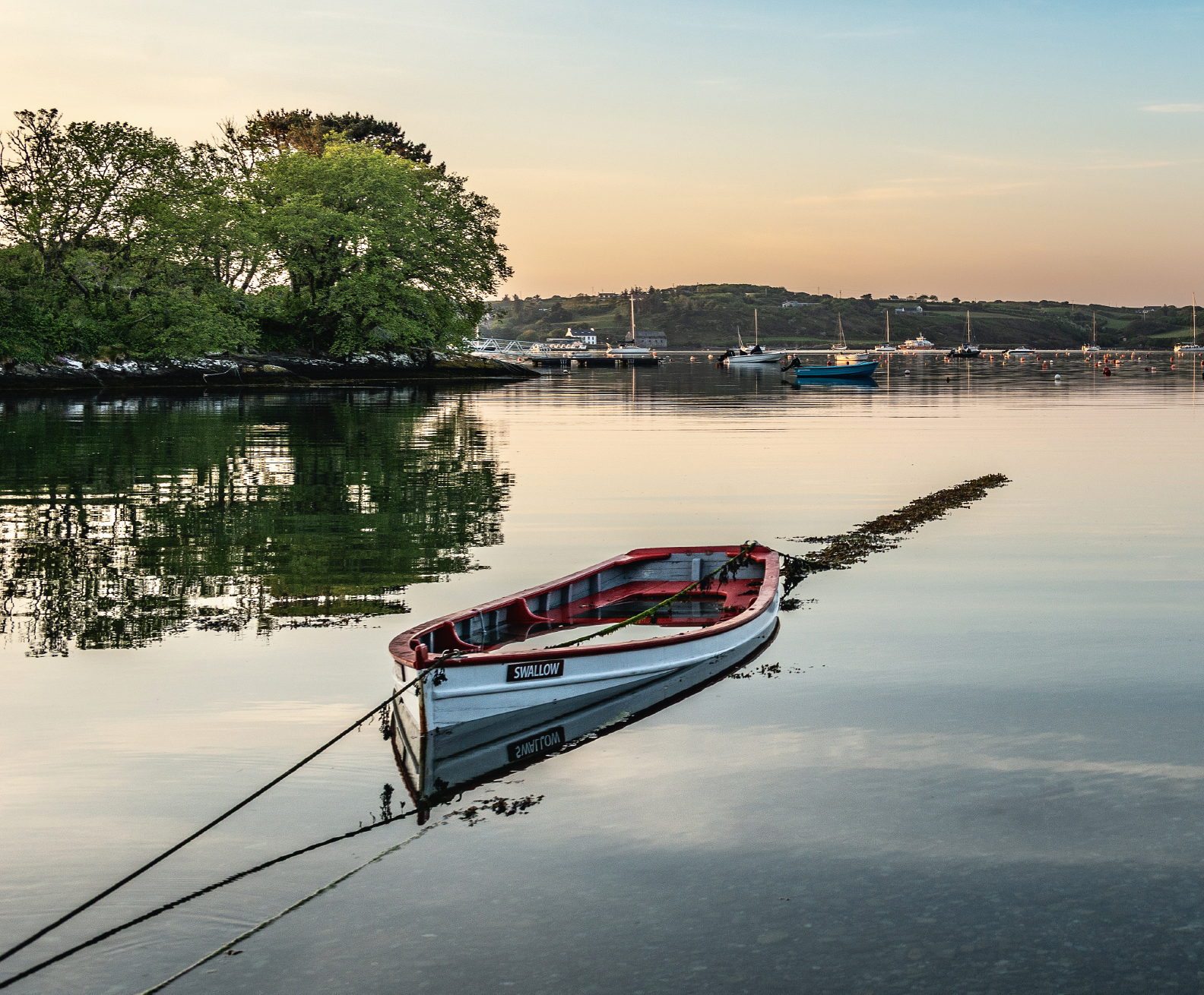 Screenshot 2025 10 30 at 11 54 27