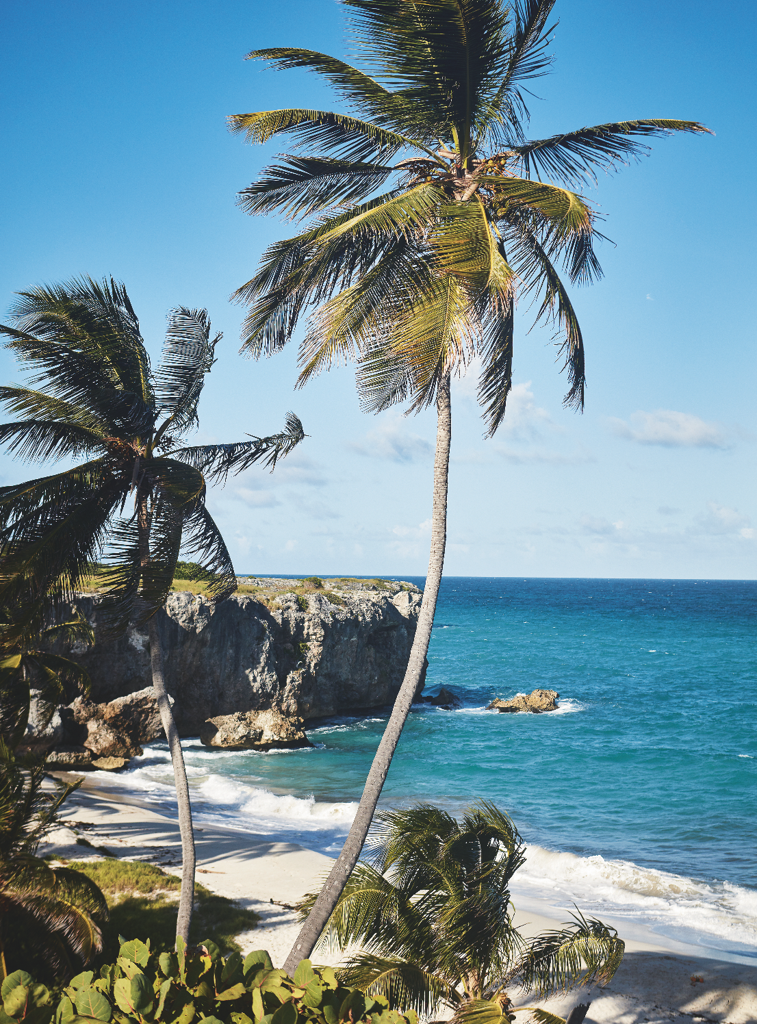 Screenshot 2025 11 18 at 13 15 04