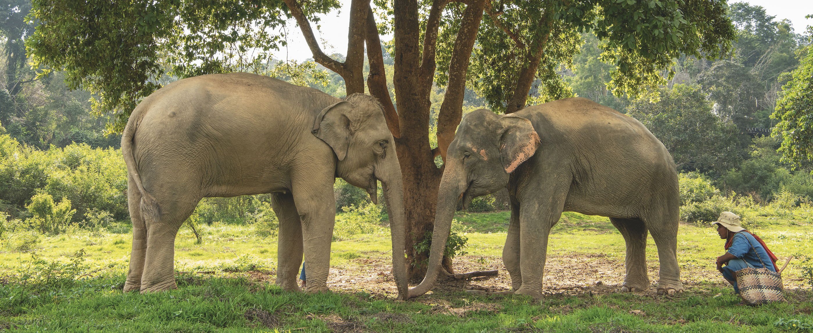 Screenshot 2026 03 10 at 11 36 03