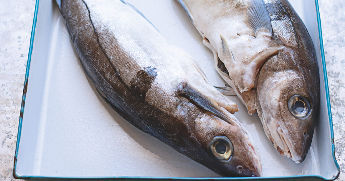 What to cook with haddock Food and Travel Magazine