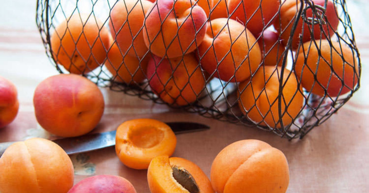 Dehydrating Apricots, Apricot Fruit Leather & Apricot Salsa