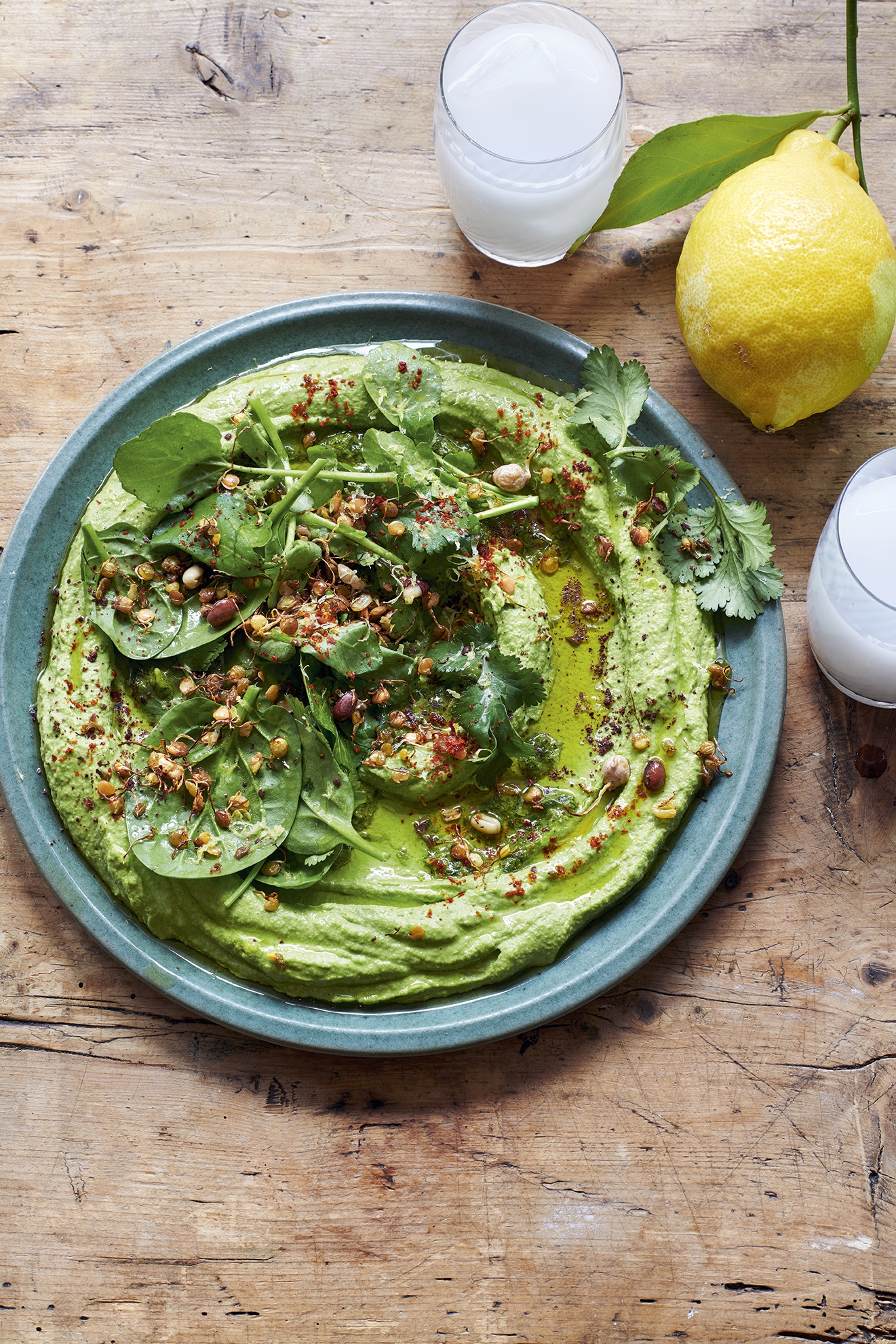 2024 02 05 ARABICA BOOK 10024