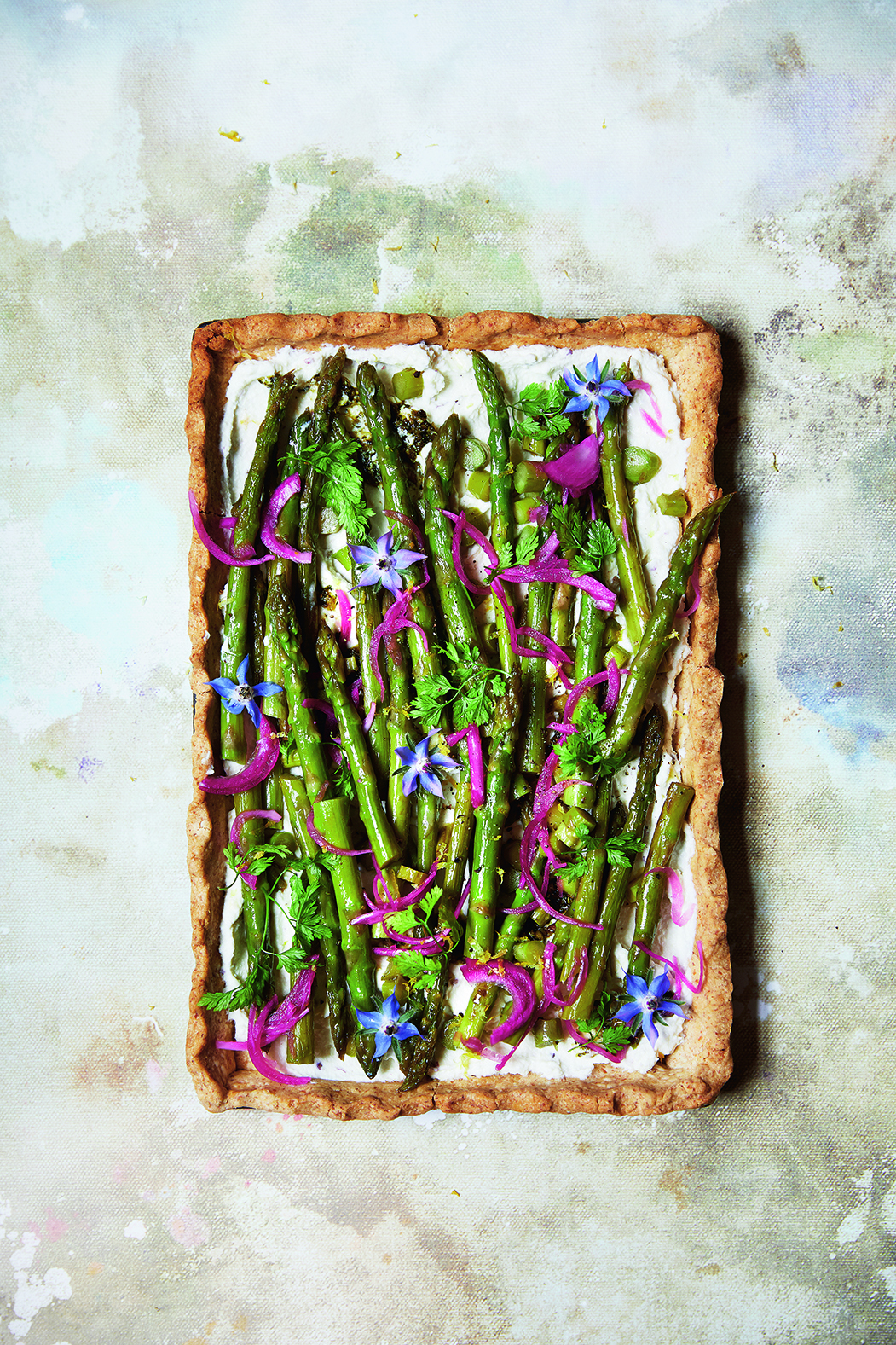 Asparagus Tart 004