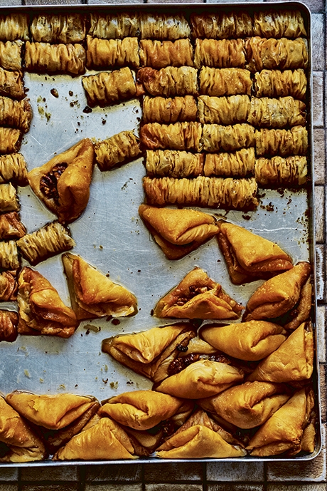 Danube Turkish Tatars 231