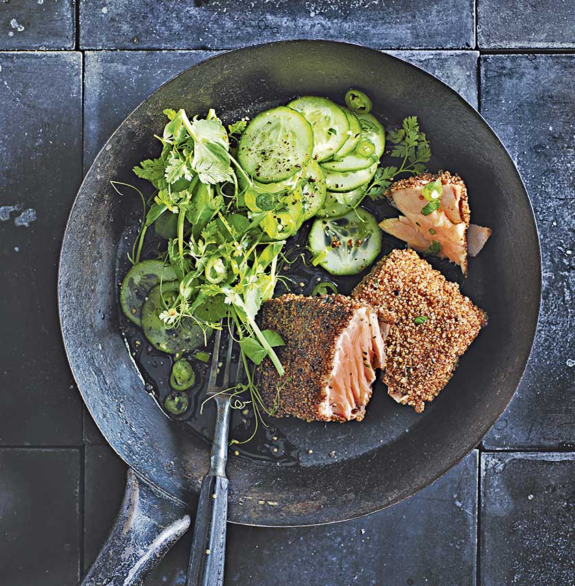 Dukkah-crusted salmon with cucumber and chilli salad