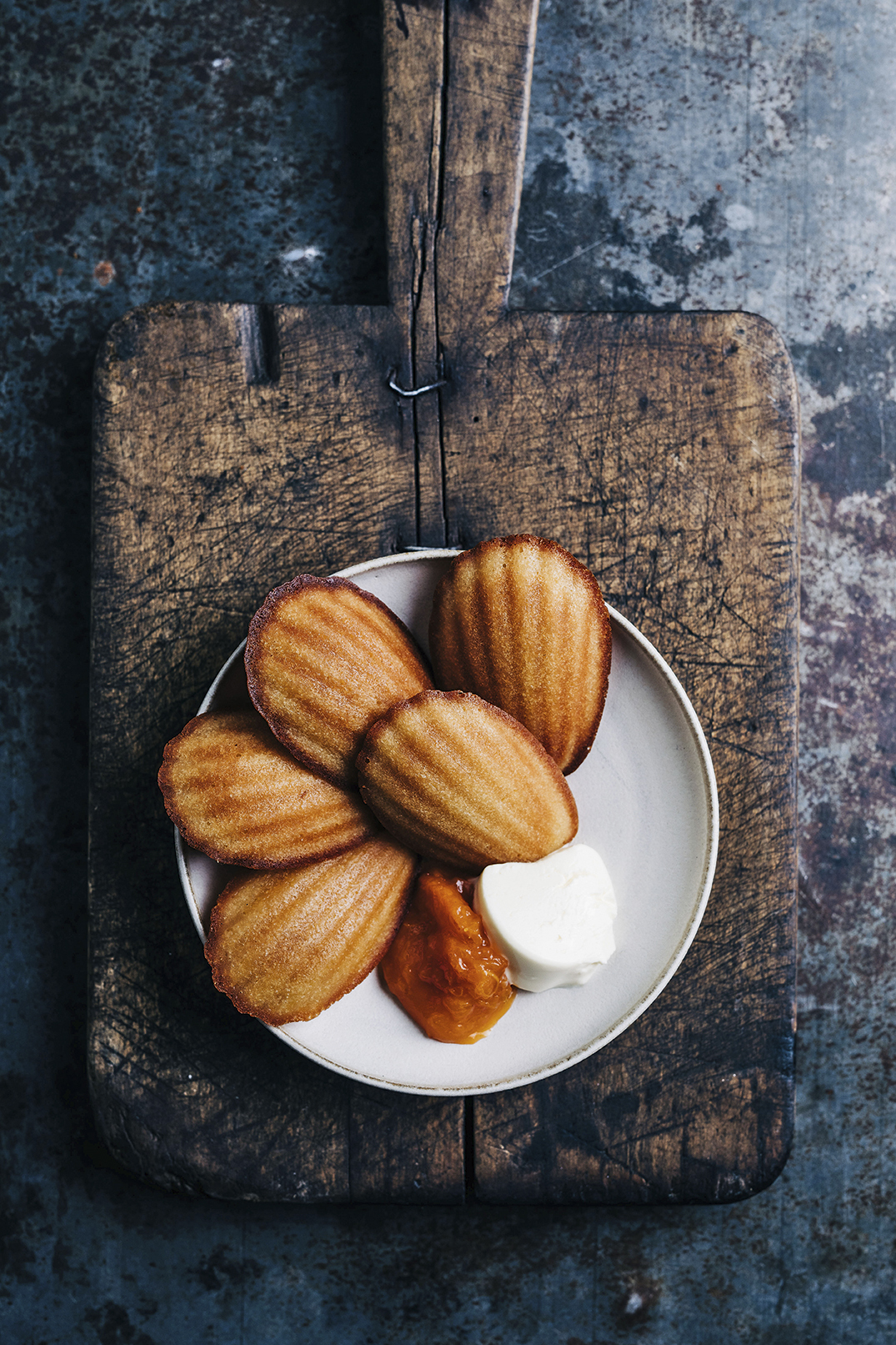 Honey Madeleines c Adam Gibson