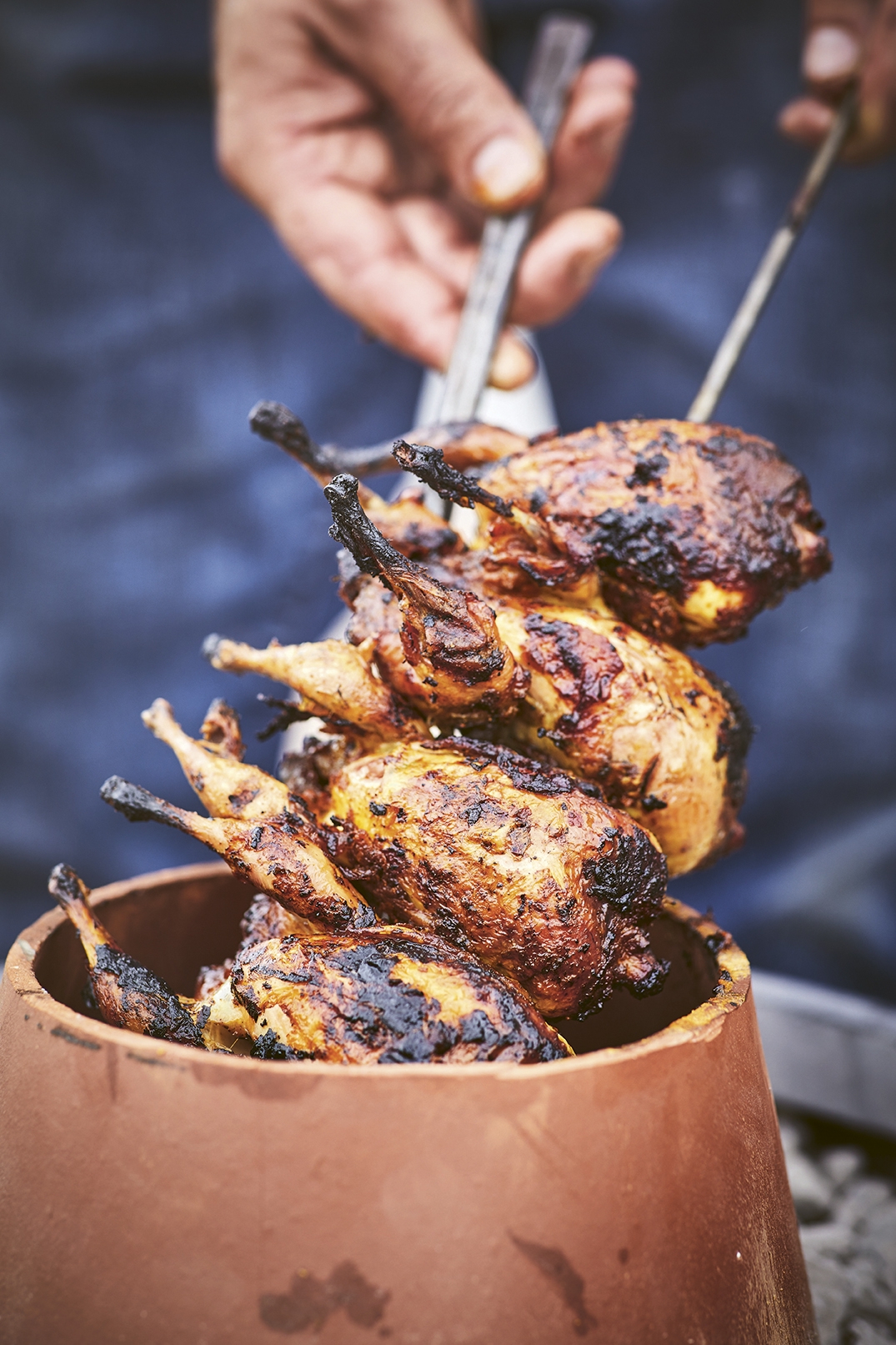 Tandoori Quail 0001