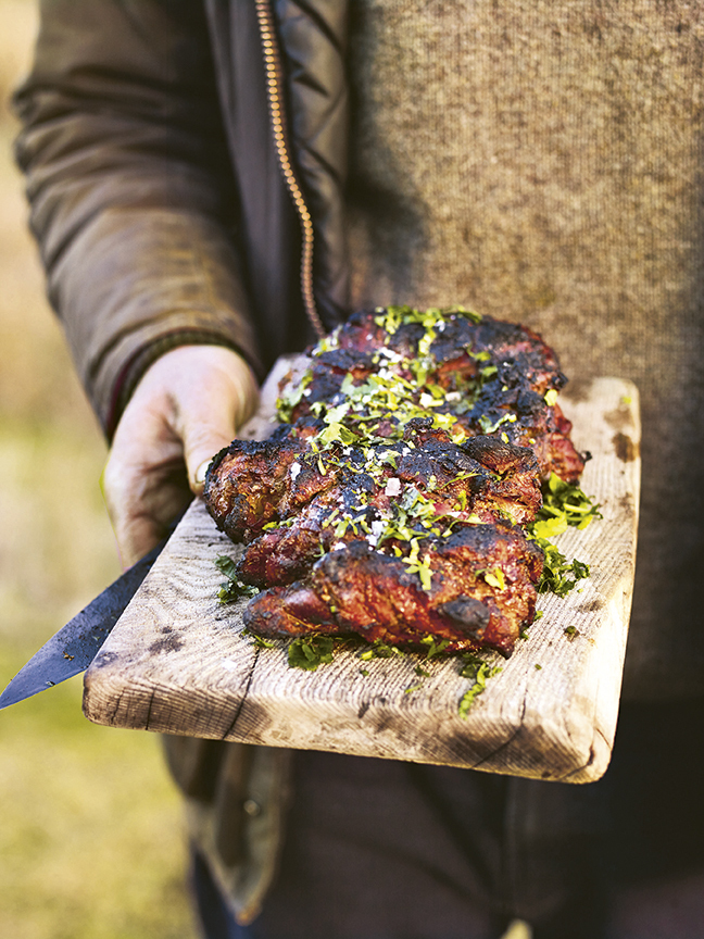 Tandoori venison