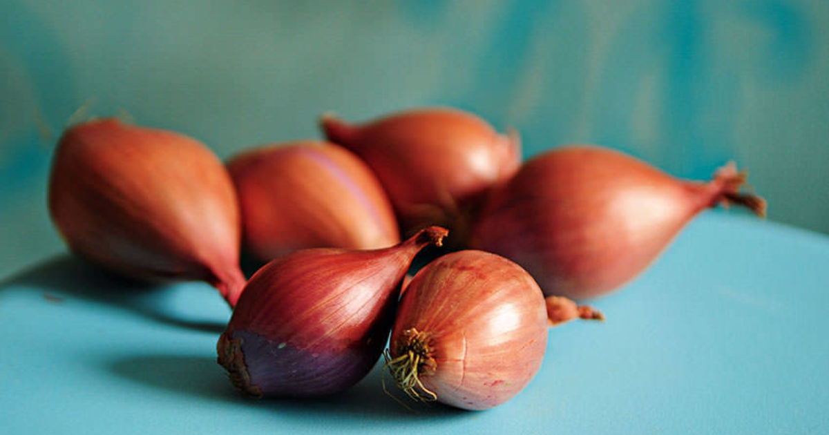 What Is a Shallot?, Cooking School