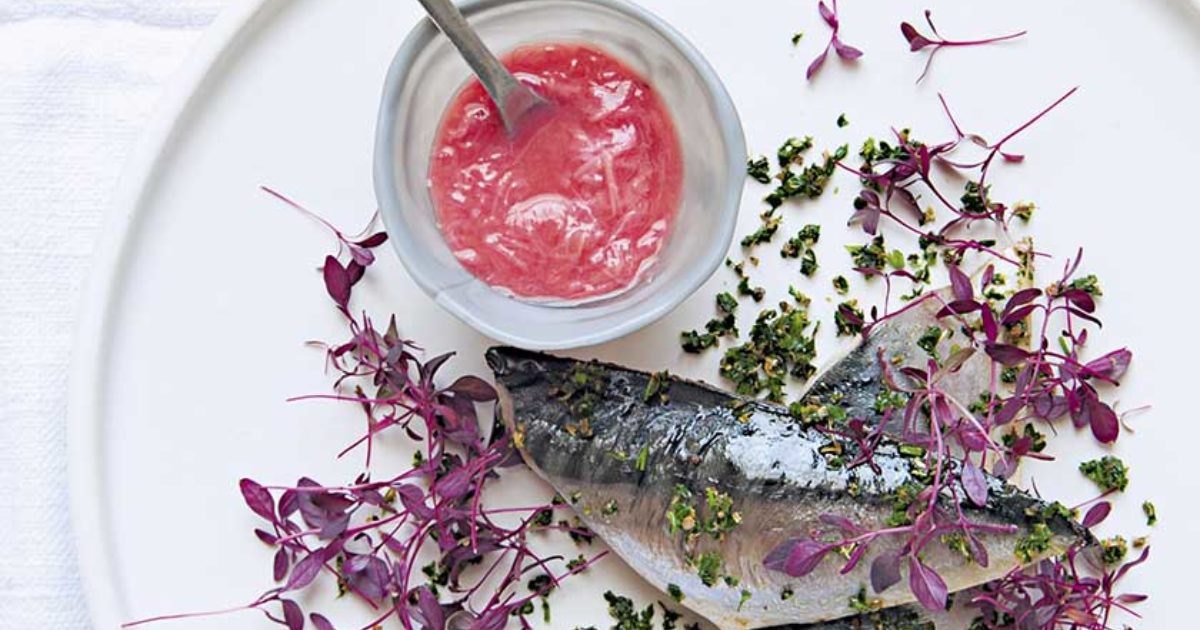 Mackerel escabeche with rhubarb sauce Food and Travel magazine