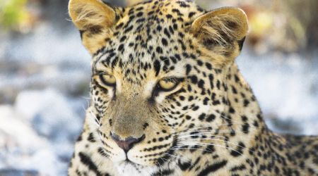 Sophia louw v5ihl FC3ja0 unsplash