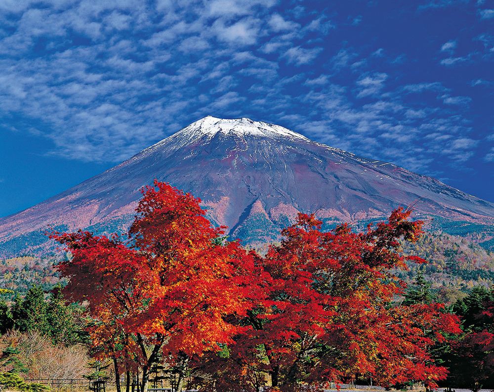 World Class Mount Fuji High Res