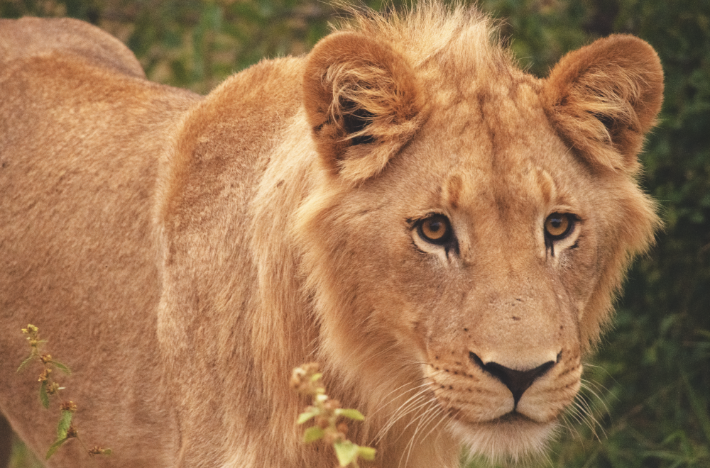 Screenshot 2025 11 18 at 15 59 13