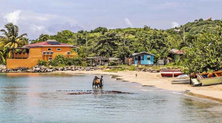 Gros Islet Beach 3202 copy