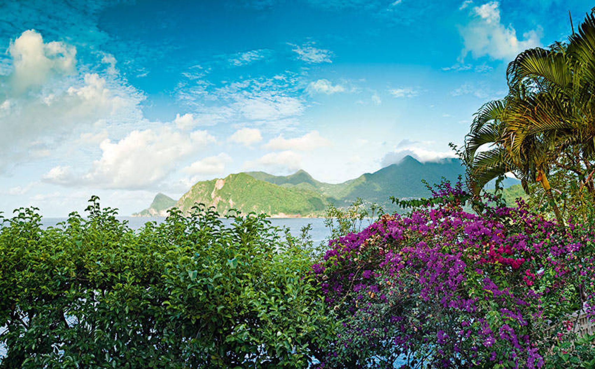 Zandoli  Views Towards  Grand  Bay 9558 9564