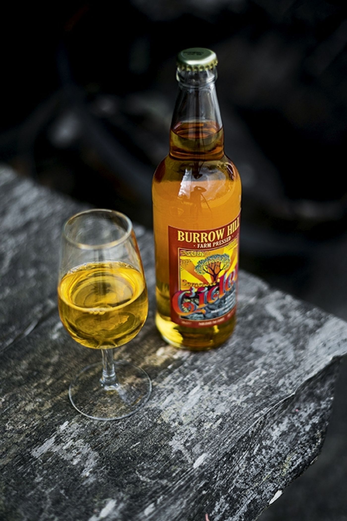 Somerset Cider Brandy Burrow Hill Cider Bottle 8566