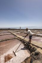 Maspalomas Area South Coast Salinas de Tenefe Manuel Navarro Owner Collecting Sea Salt 1571