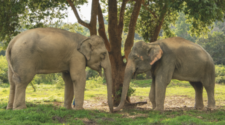 Screenshot 2026 03 10 at 11 36 03