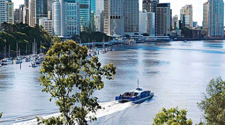 Brisbane  City    City Cat