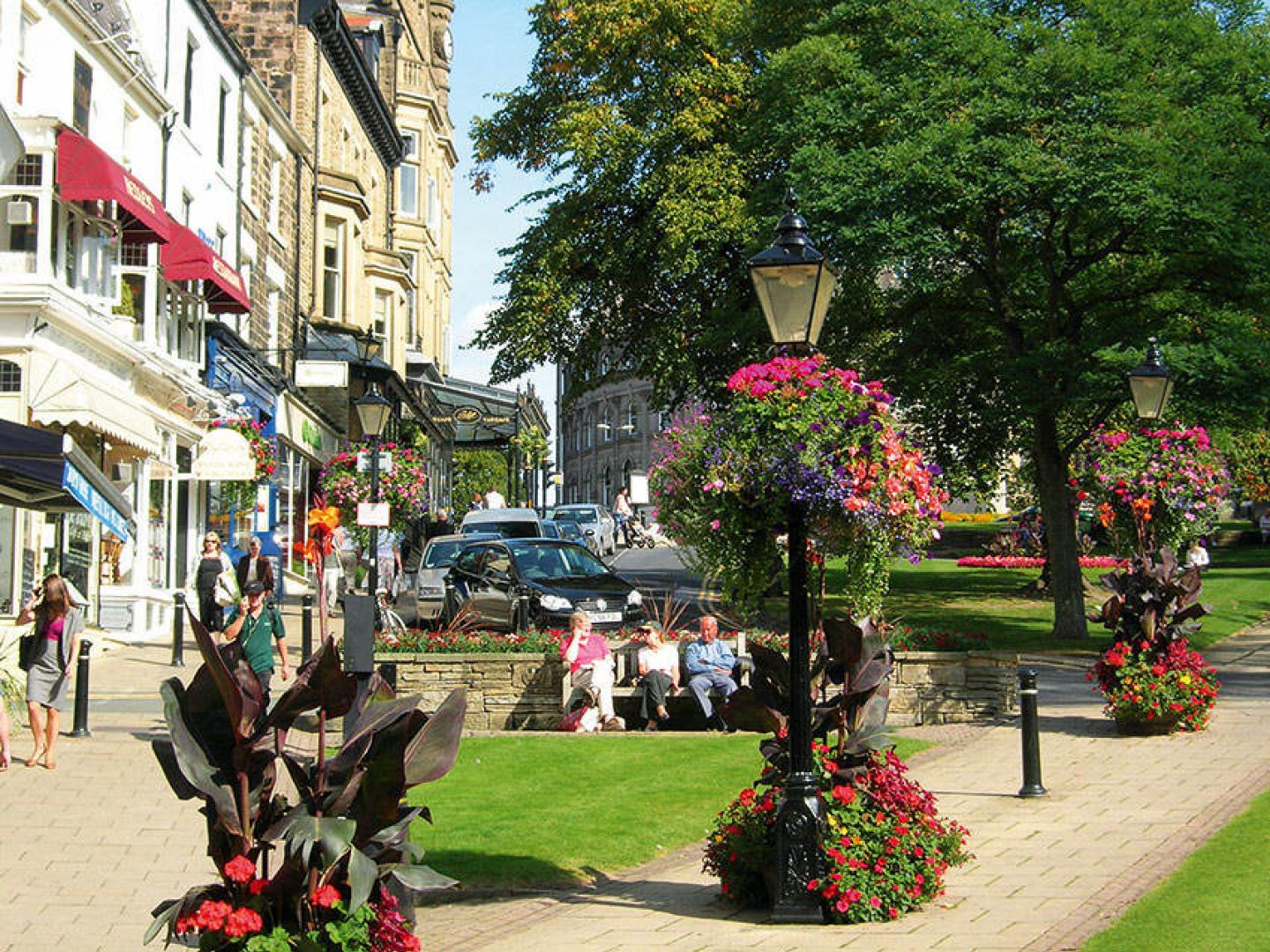 Montpellier  M  Hine  Photograph By  Mike  Hine Courtesy Of  Harrogate  International  Centre