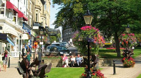 Montpellier  M  Hine  Photograph By  Mike  Hine Courtesy Of  Harrogate  International  Centre