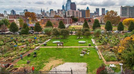 The  Spring  Gardens