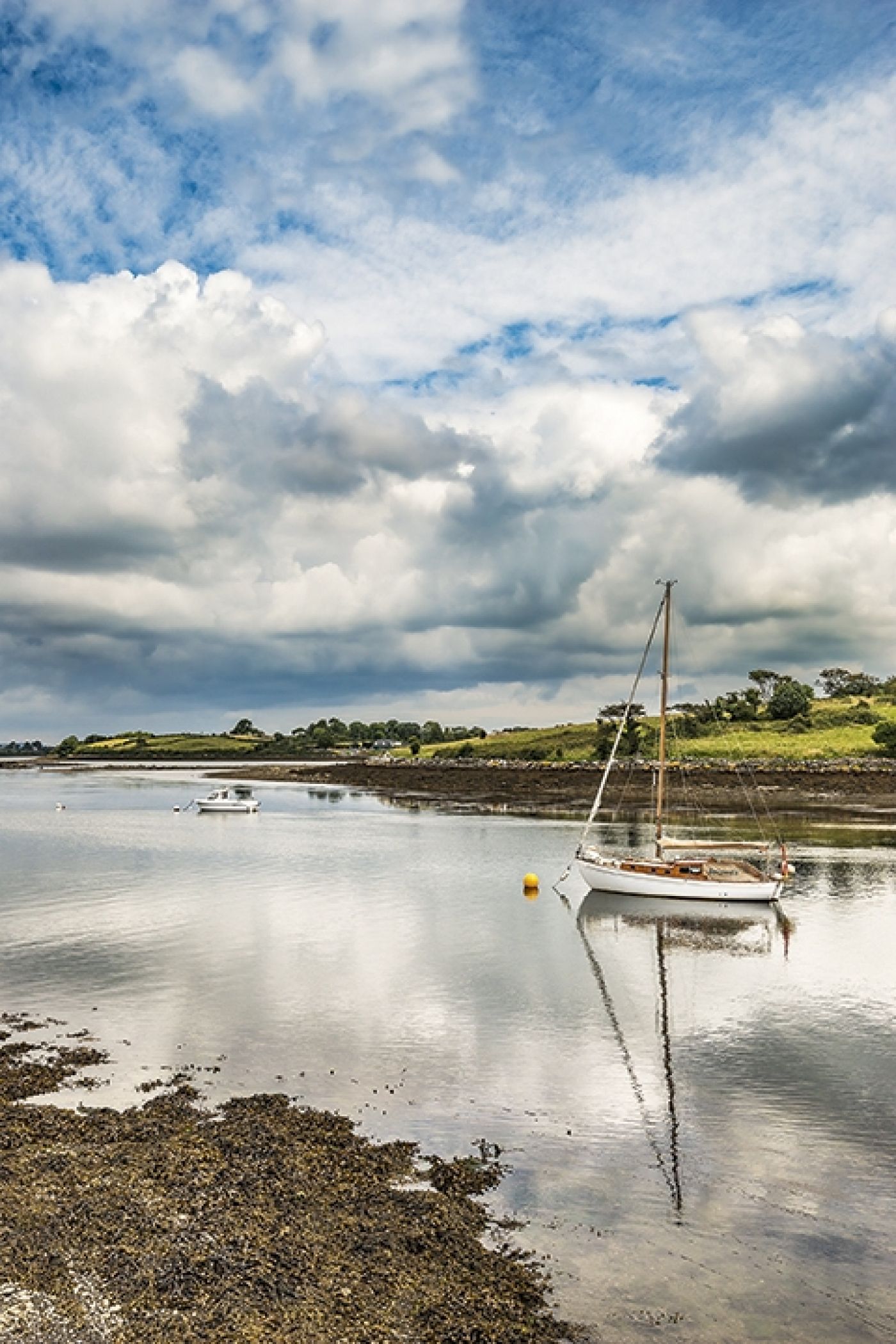 Killinchy Strangford Lough 6201