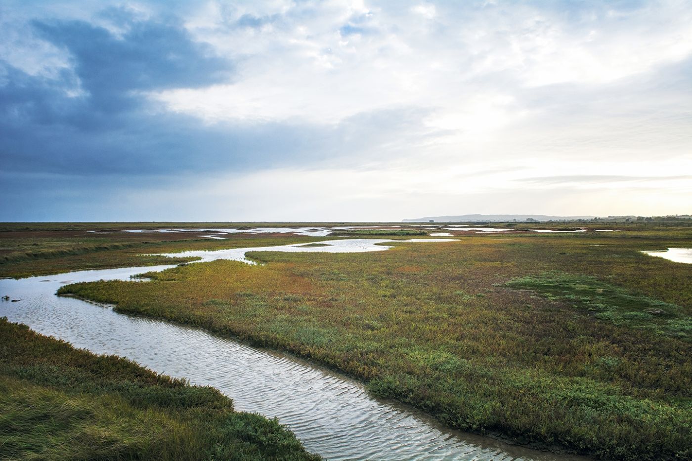 54 a Rye harbour nature reserve