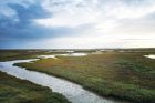 54 a Rye harbour nature reserve