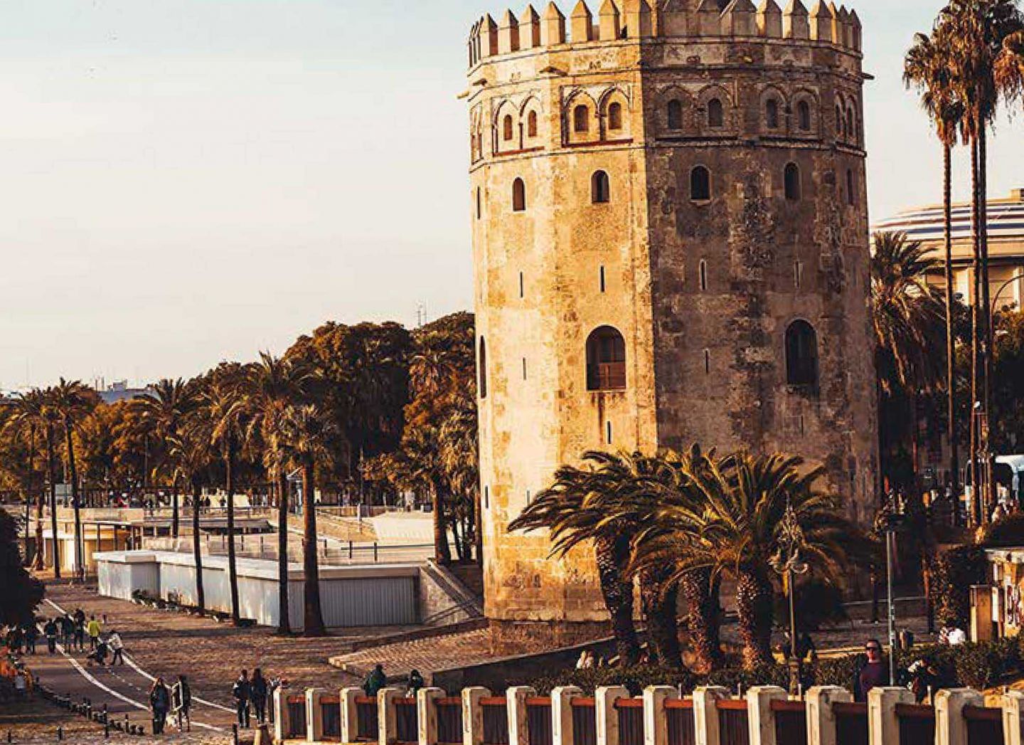 Jp files o Bpjse Q11w0 unsplash