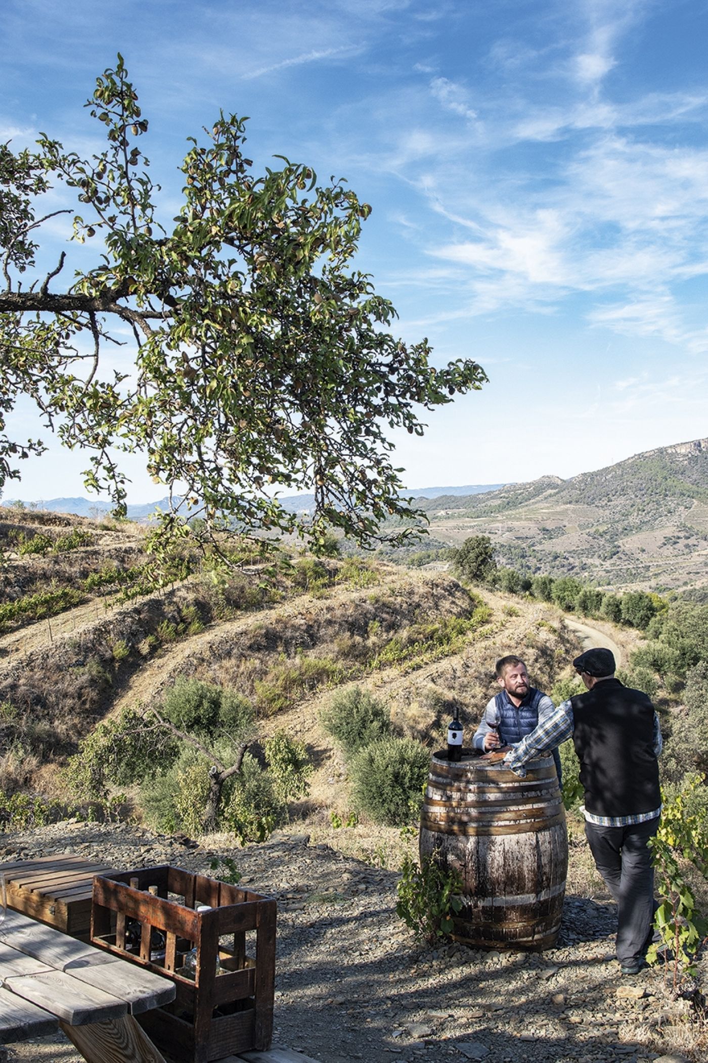 Celler Devinssi001 0984