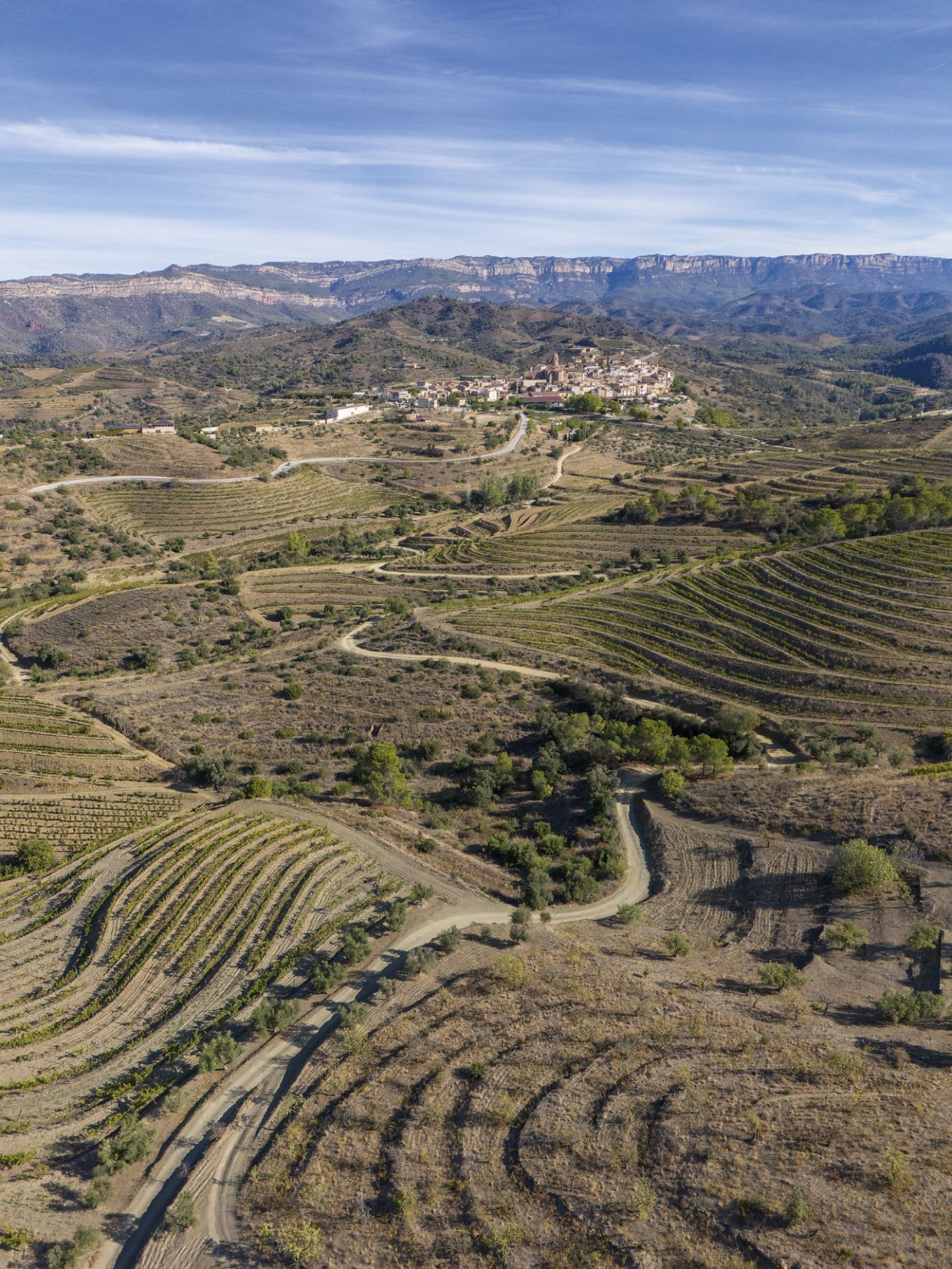 Celler Devinssi009 0426 D