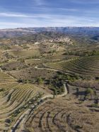 Celler Devinssi009 0426 D