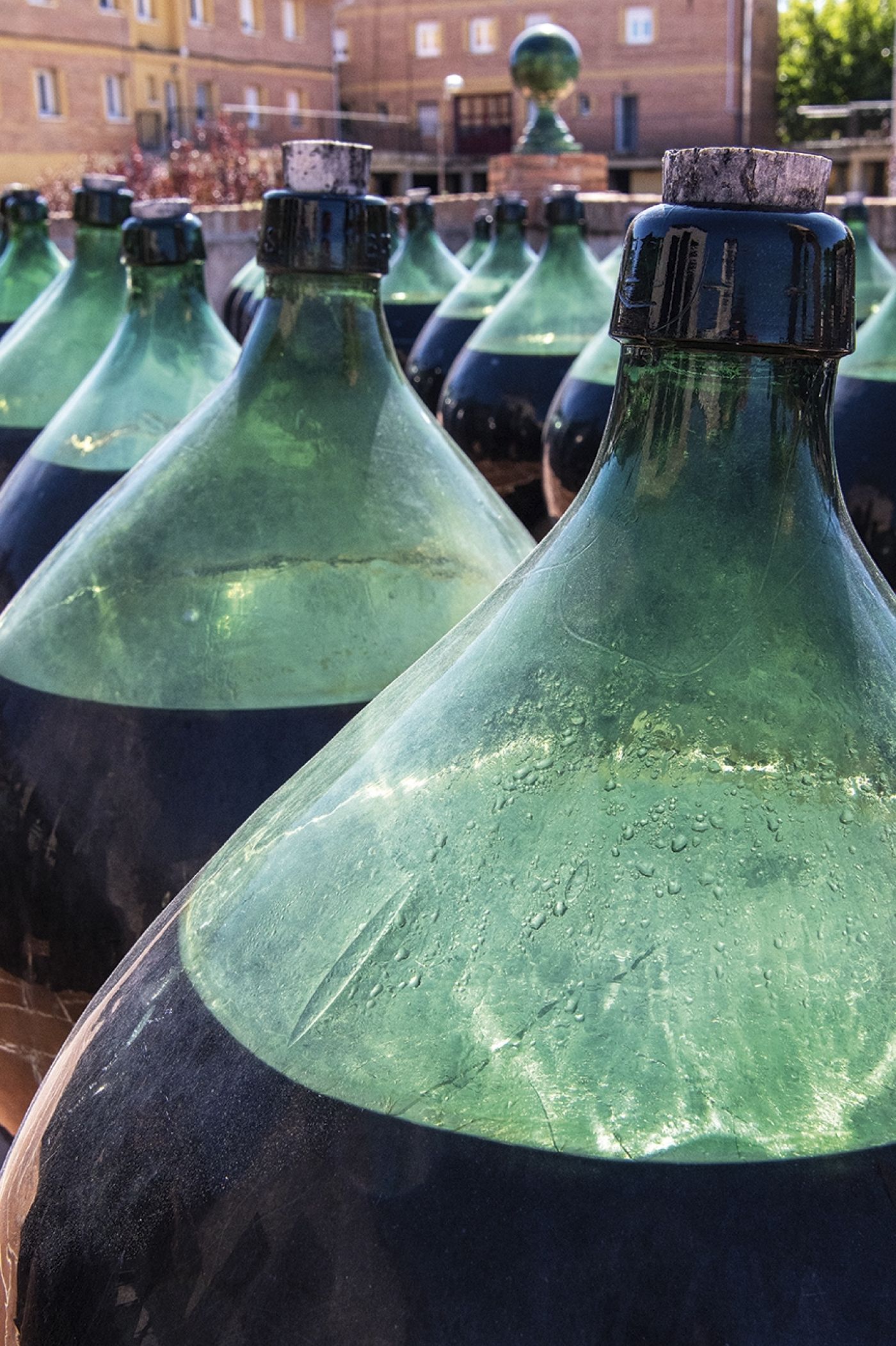 Cooperativa Falset012 0560