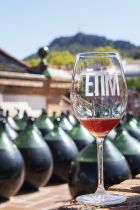 Cooperativa Falset013 0568