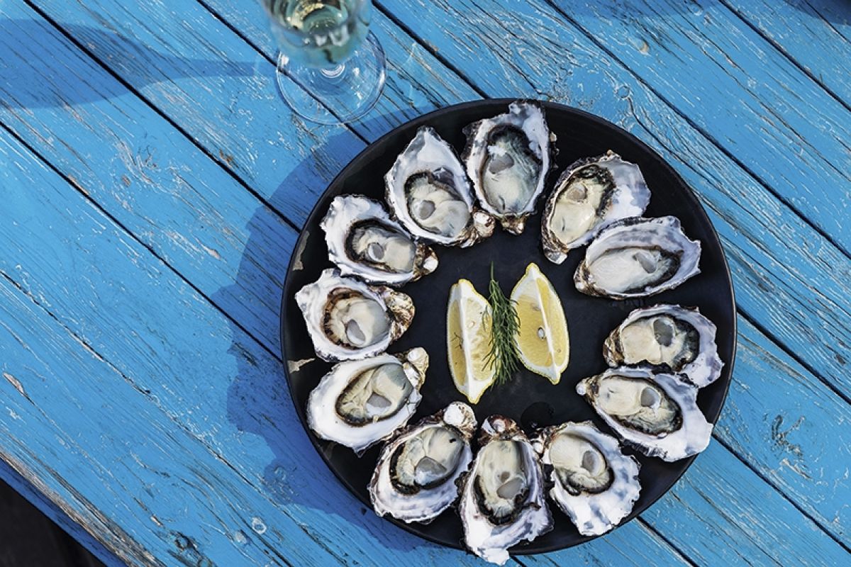 Bruny Island Oysters Tasmania