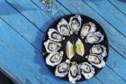 Bruny Island Oysters Tasmania