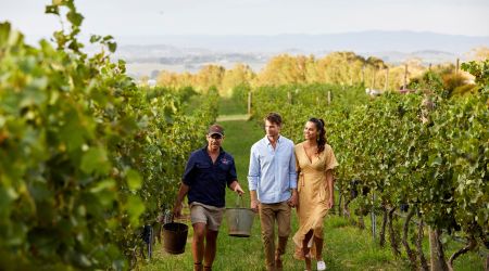 Couple enjoying a tour of the vineyard with Printhie Wines sales manager Dave Swift in Nashdale near Orange